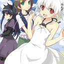 眩しかった日のこと、そんな11月７日の日のこと