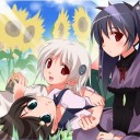 眩しかった日のこと、そんな11月７日の日のこと