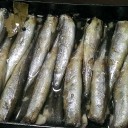 まー　最近の料理