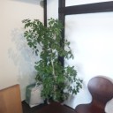 週末16日にS-GardenがOPEN！！