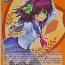 眩しかった日のこと、そんな11月12日の日のこと