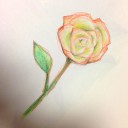 あいなど