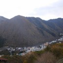 おさるの山