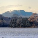 冠雪