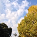 紅葉狩り