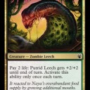 【翻訳】Leeches: They’re Good For What Ails Ya by Alex Ullman　Pauperゴルガリデッキ構築