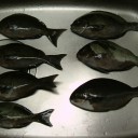 楽しかった！でも、サイズが・・・