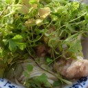うどんガー