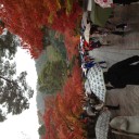GP京都 土曜と日曜と月曜と。