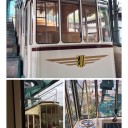 ドレスデンの懸垂式モノレール（Schwebebahn）