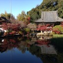 奈良散歩中