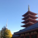 浅草の年の瀬は、まっきっき。