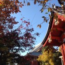 浅草の年の瀬は、まっきっき。