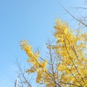 2013年12月1日の日記