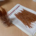 週末記と『ゆるふわステロイド』『ジェネシックパラダイスブレード』の話