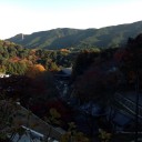 週末記～11月末日：紅葉狩り＠奈良～