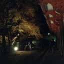 週末記～11月末日：紅葉狩り＠奈良～