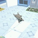 【猫が】Petz Catz 2【ねころんだ】購入
