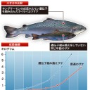 遺伝子組み換え 鮭