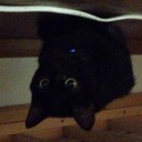 おしっこすんだよな