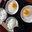 新鮮なたまご