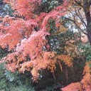 公園いってきました。