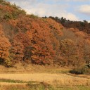 晩秋の烏山線　Part 4