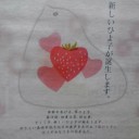 苺ひよ子【期間限定】