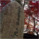 紅葉ヤンキー