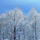お年玉の切ない話し