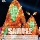 眩しかった日のこと、そんな12月11日の日のこと