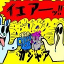 とりあえず報告