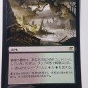 【拡張】森林の墓地