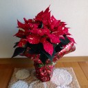 12月のあれこれ