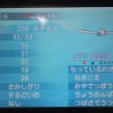 ワケありキャモメ