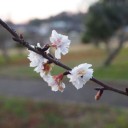 2013年12月21日の日記