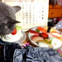 12月23日の日記