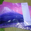 グランプリ静岡2014