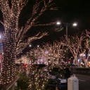 ★Joyeux Noël! ★