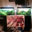 実質仕事納めからのFF10HDvita難民からの怒りのMG　EX-S大人買い