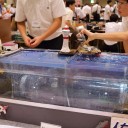 もう一つの有明夏の陣2013　その1