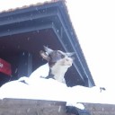 雪ふとん。