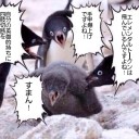 今年を、振り返る。