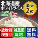 世界の全面核戦争。