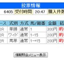 2013年競馬のまとめ～その２