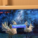 日曜の聖印