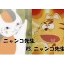 にゃんこ先生