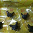 明日のホウエンリーグ