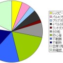 1/25　幕張メッセ　竜王戦　デッキ調査報告!!