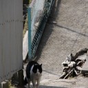 坂の路地